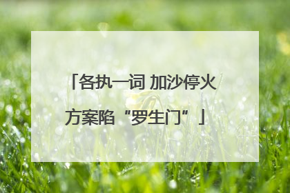 各执一词 加沙停火方案陷“罗生门”