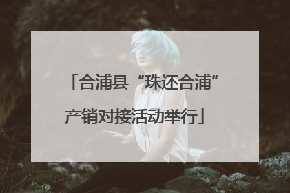 合浦县“珠还合浦”产销对接活动举行