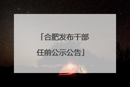 合肥发布干部任前公示公告