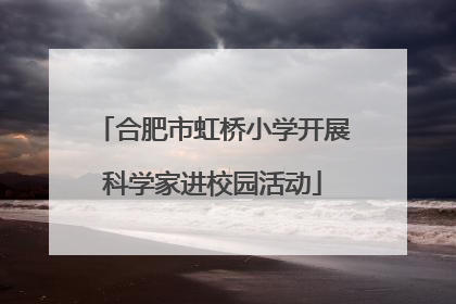 合肥市虹桥小学开展科学家进校园活动