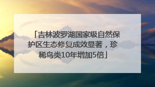 吉林波罗湖国家级自然保护区生态修复成效显著，珍稀鸟类10年增加5倍