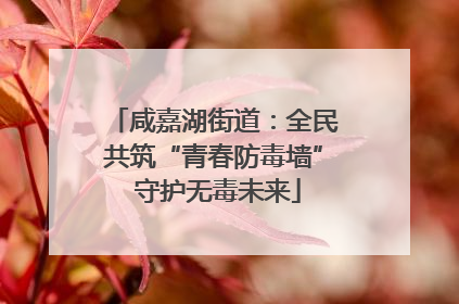 咸嘉湖街道：全民共筑“青春防毒墙” 守护无毒未来