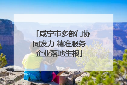 咸宁市多部门协同发力 精准服务企业落地生根