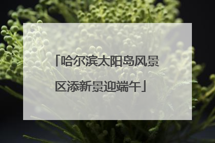 哈尔滨太阳岛风景区添新景迎端午