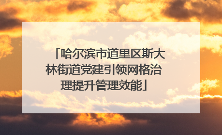 哈尔滨市道里区斯大林街道党建引领网格治理提升管理效能