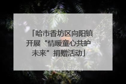 哈市香坊区向阳镇开展“情暖童心共护未来”捐赠活动