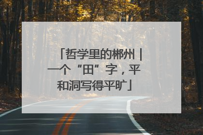 哲学里的郴州｜一个“田”字，平和洞写得平旷