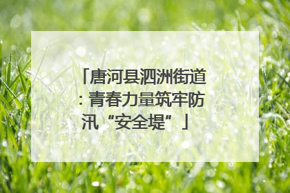 唐河县泗洲街道：青春力量筑牢防汛“安全堤”