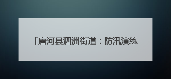唐河县泗洲街道：防汛演练筑防线 未雨绸缪保安全
