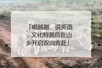 唱越剧、说英语，文化特派员在山乡开启双向奔赴