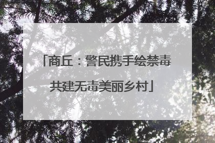 商丘：警民携手绘禁毒 共建无毒美丽乡村