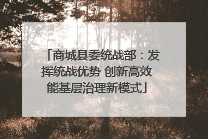 商城县委统战部：发挥统战优势 创新高效能基层治理新模式