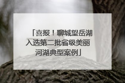 喜报！聊城望岳湖入选第二批省级美丽河湖典型案例