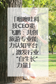 嗯噢哇科技CEO窦飞鹏：共创旅游专业能力认知平台，激发行业“自生长”力量