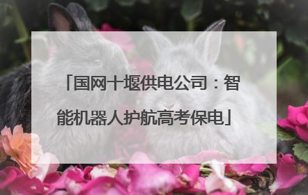 国网十堰供电公司：智能机器人护航高考保电