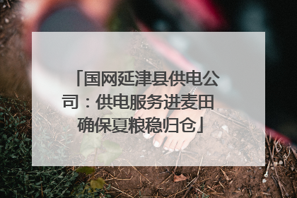 国网延津县供电公司：供电服务进麦田 确保夏粮稳归仓