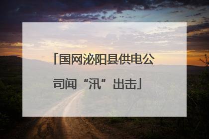 国网泌阳县供电公司闻“汛”出击