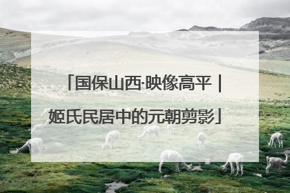 国保山西·映像高平｜姬氏民居中的元朝剪影