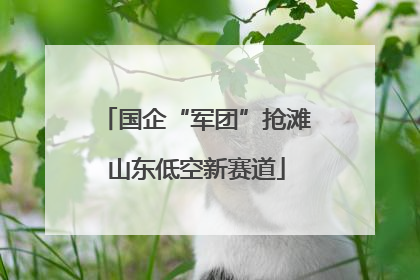 国企“军团”抢滩山东低空新赛道