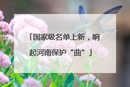 国家级名单上新，响起河南保护“曲”