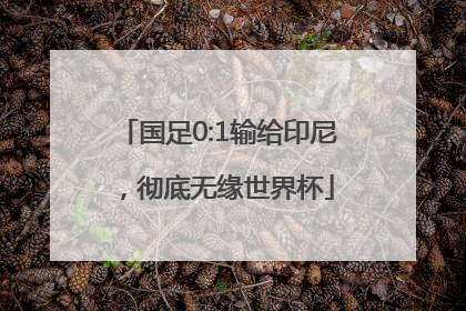 国足0:1输给印尼，彻底无缘世界杯