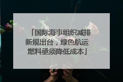国际海事组织减排新规出台，绿色航运燃料亟须降低成本
