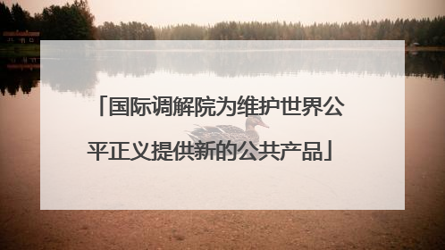 国际调解院为维护世界公平正义提供新的公共产品