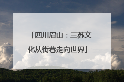 四川眉山：三苏文化从街巷走向世界