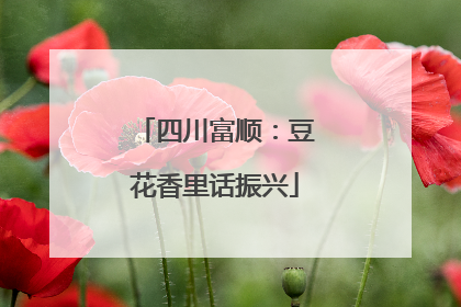 四川富顺：豆花香里话振兴