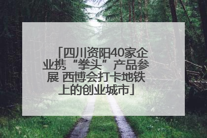 四川资阳40家企业携“拳头”产品参展 西博会打卡地铁上的创业城市