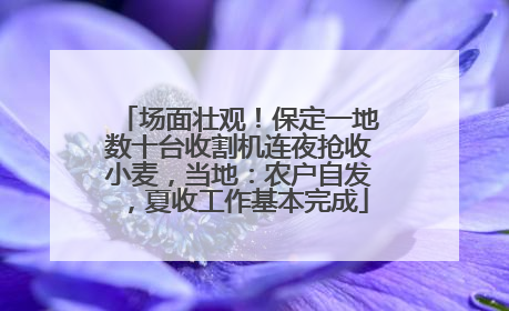 场面壮观！保定一地数十台收割机连夜抢收小麦，当地：农户自发，夏收工作基本完成