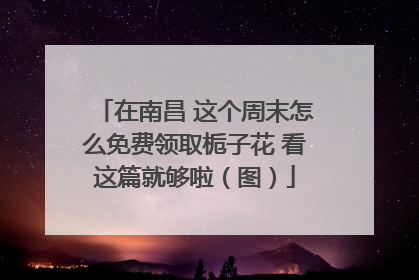 在南昌 这个周末怎么免费领取栀子花 看这篇就够啦（图）