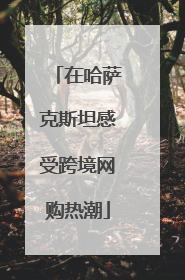 在哈萨克斯坦感受跨境网购热潮
