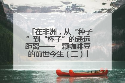 在非洲，从“种子”到“杯子”的遥远距离——一颗咖啡豆的前世今生（三）