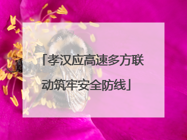 孝汉应高速多方联动筑牢安全防线