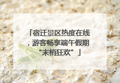 宿迁景区热度在线，游客畅享端午假期“末梢狂欢”