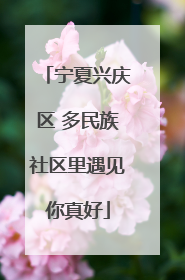 宁夏兴庆区 多民族社区里遇见你真好