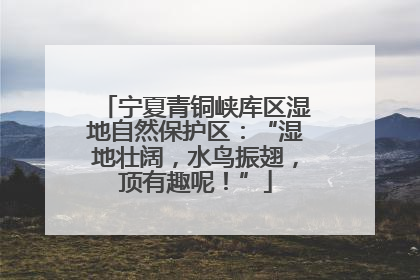宁夏青铜峡库区湿地自然保护区：“湿地壮阔，水鸟振翅，顶有趣呢！”