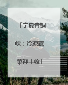 宁夏青铜峡：冷凉蔬菜迎丰收