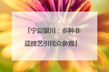 宁夏银川：多种非遗技艺引民众参观
