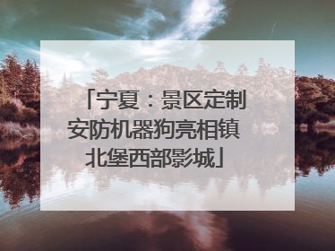 宁夏：景区定制安防机器狗亮相镇北堡西部影城