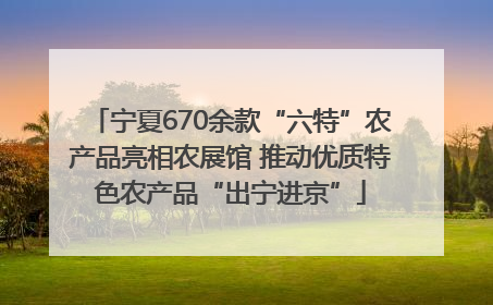 宁夏670余款“六特”农产品亮相农展馆 推动优质特色农产品“出宁进京”