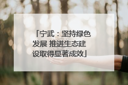 宁武：坚持绿色发展 推进生态建设取得显著成效