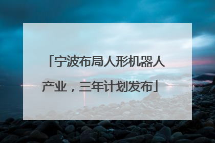 宁波布局人形机器人产业，三年计划发布