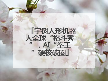 宇树人形机器人全球“格斗秀”，AI“拳王”硬核破圈