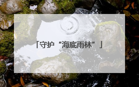 守护“海底雨林”