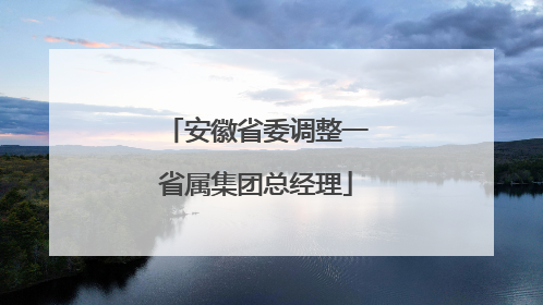 安徽省委调整一省属集团总经理