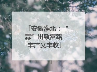 安徽淮北：“蒜”出致富路 丰产又丰收