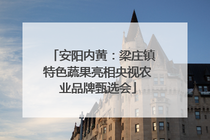 安阳内黄：梁庄镇特色蔬果亮相央视农业品牌甄选会