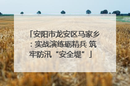 安阳市龙安区马家乡：实战演练砺精兵 筑牢防汛“安全堤”